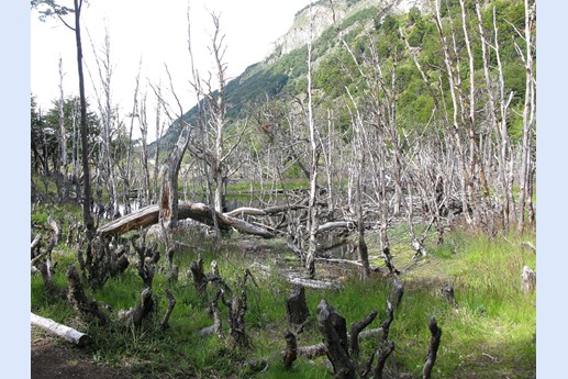 Viaggio in Argentina 2010